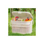 سبد پیک نیک طرف بافت لیمون 213539