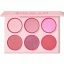 پالت رژگونه شیگلم رنگ Blushing Bouquet