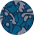 دایره آبی چریکی